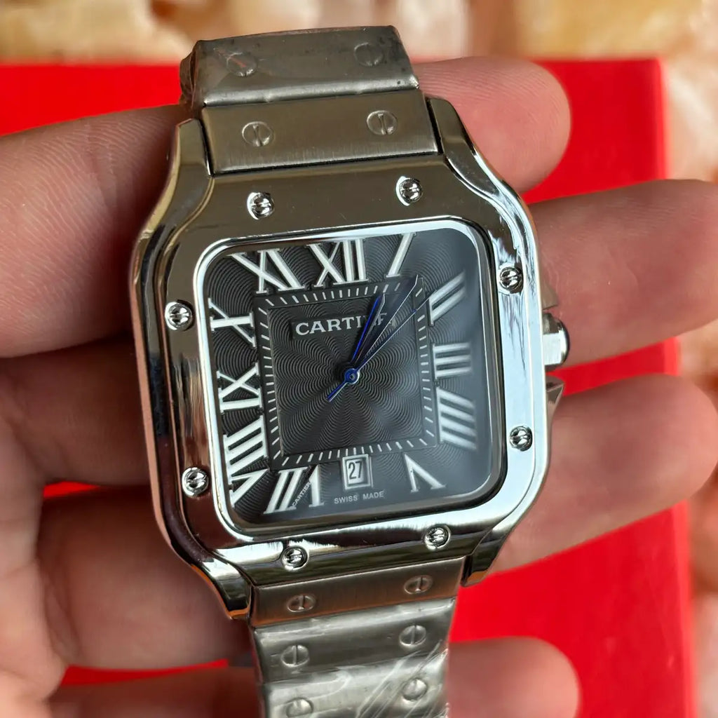 Cartier santos (2)